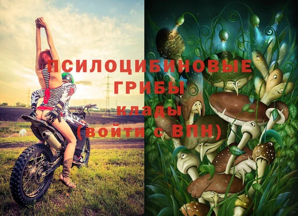 МДПВ Балахна