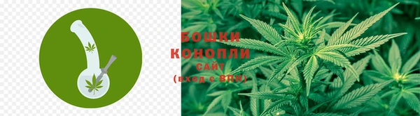 ПСИЛОЦИБИНОВЫЕ ГРИБЫ Снежинск