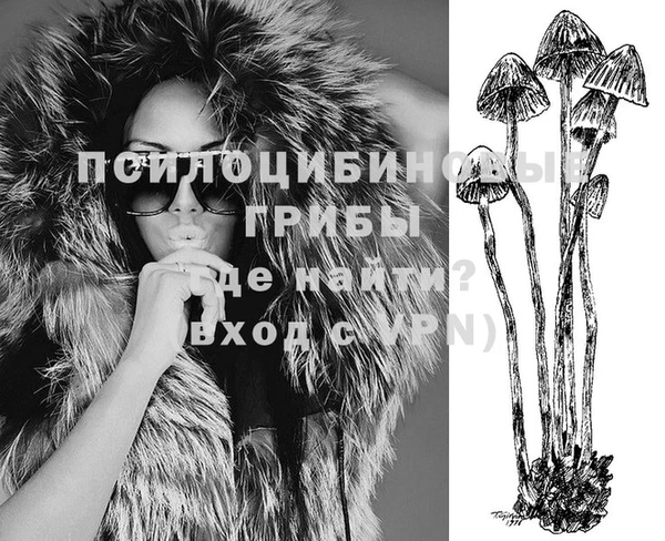 прущие крисы Снежногорск