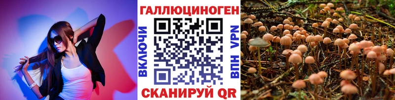 наркошоп  Усмань  Псилоцибиновые грибы Magic Shrooms 