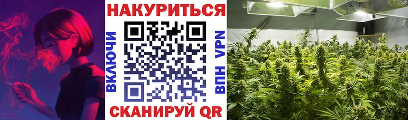 гидра как войти  Усмань  Бошки марихуана тримм 